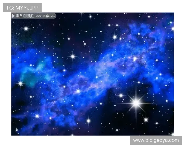 掌握星空娱乐官方下载步骤，快速安装开启你的精彩娱乐之旅